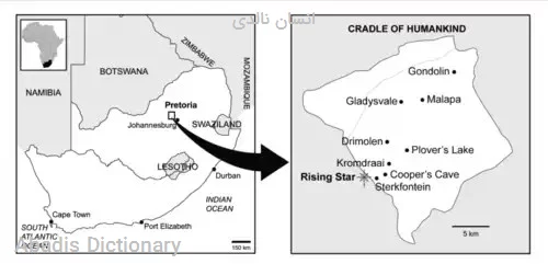 انسان نالدی